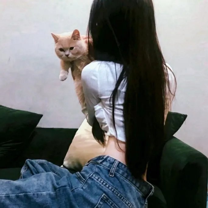 黑帆第三季